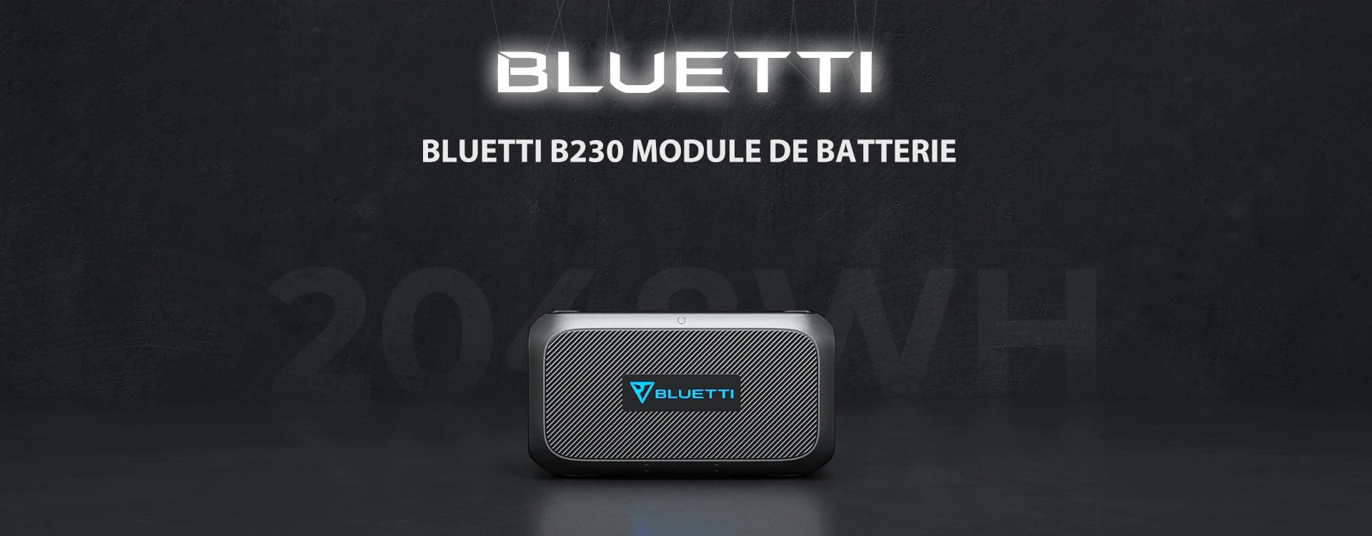 BLUETTI B230