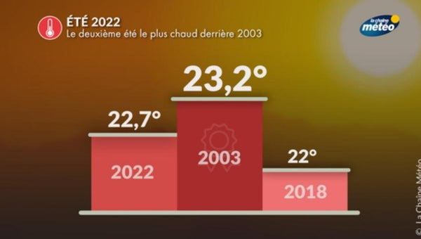 été 2022 le deuxième été le plus chaud derrière 2003