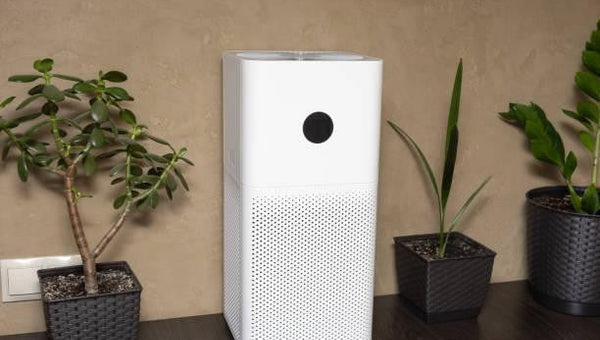 Les différents types de déshumidificateurs et leurs usages