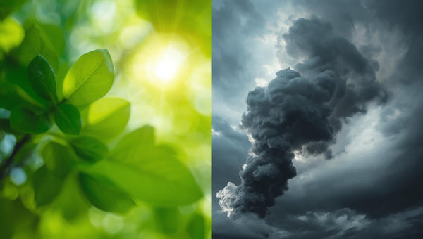 Deux mondes, deux philosophies : l'autonomie bruyante et polluante du passé face à l'autonomie silencieuse et intelligente de demain.