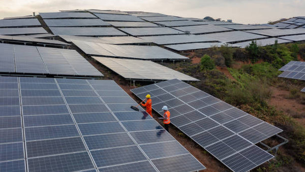 combien rapporte 1000 m² de panneau solaire